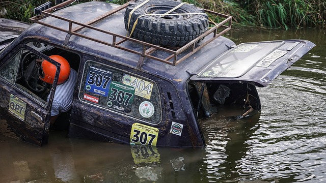 他们将以更 他们将以更