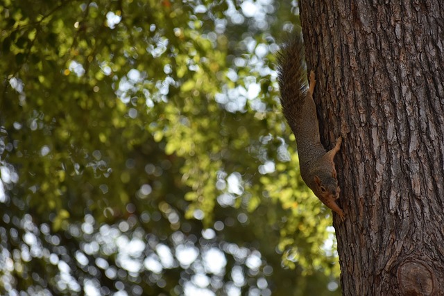 新教练的到 新教练的到