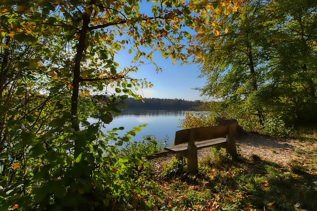 的背后往往 的背后往往
