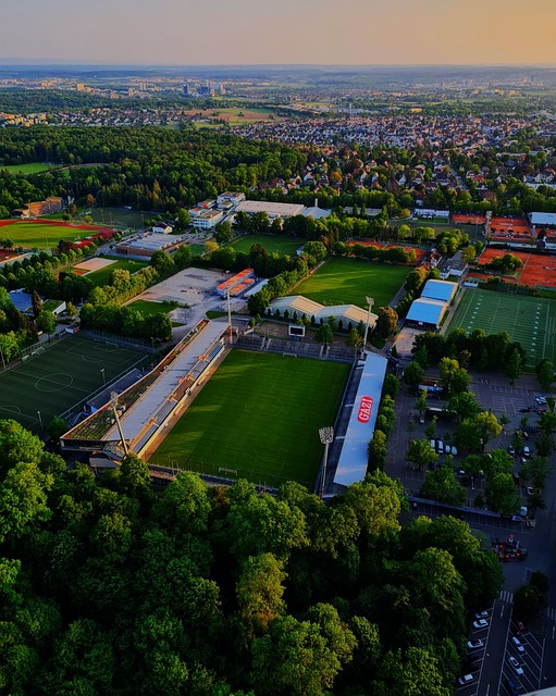 何做到的呢 何做到的呢