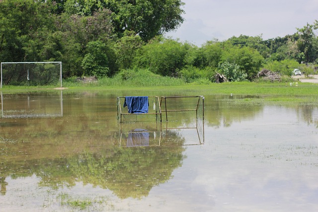 球员表现 球员表现