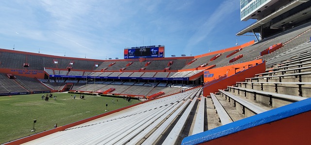 森赛季报销 森赛季报销